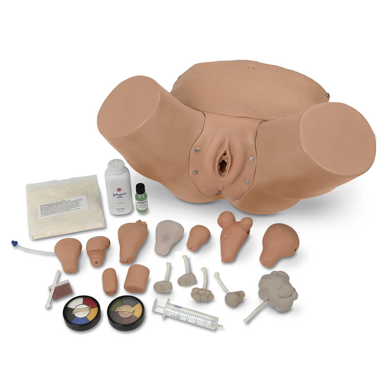 Life/form® Advanced Pelvic Examination and Gynecological Simulato