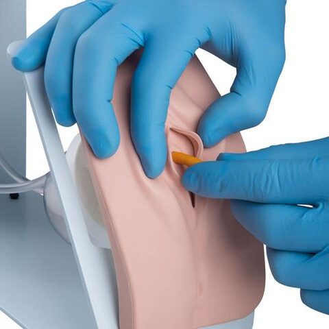 Catheterization Simulator Set (Female/Male) - Light Skin