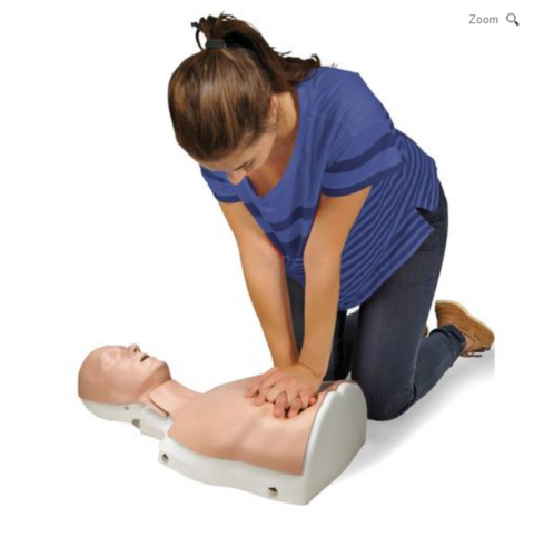 BASICBilly+ Basic Life Support Simulator, light skin
