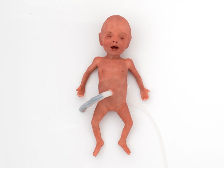 NENASim Preemie