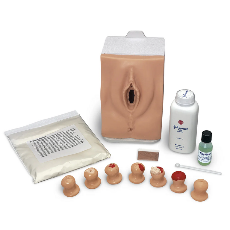 Life/form® Cervical Exam and Pap Smear Test Trainer