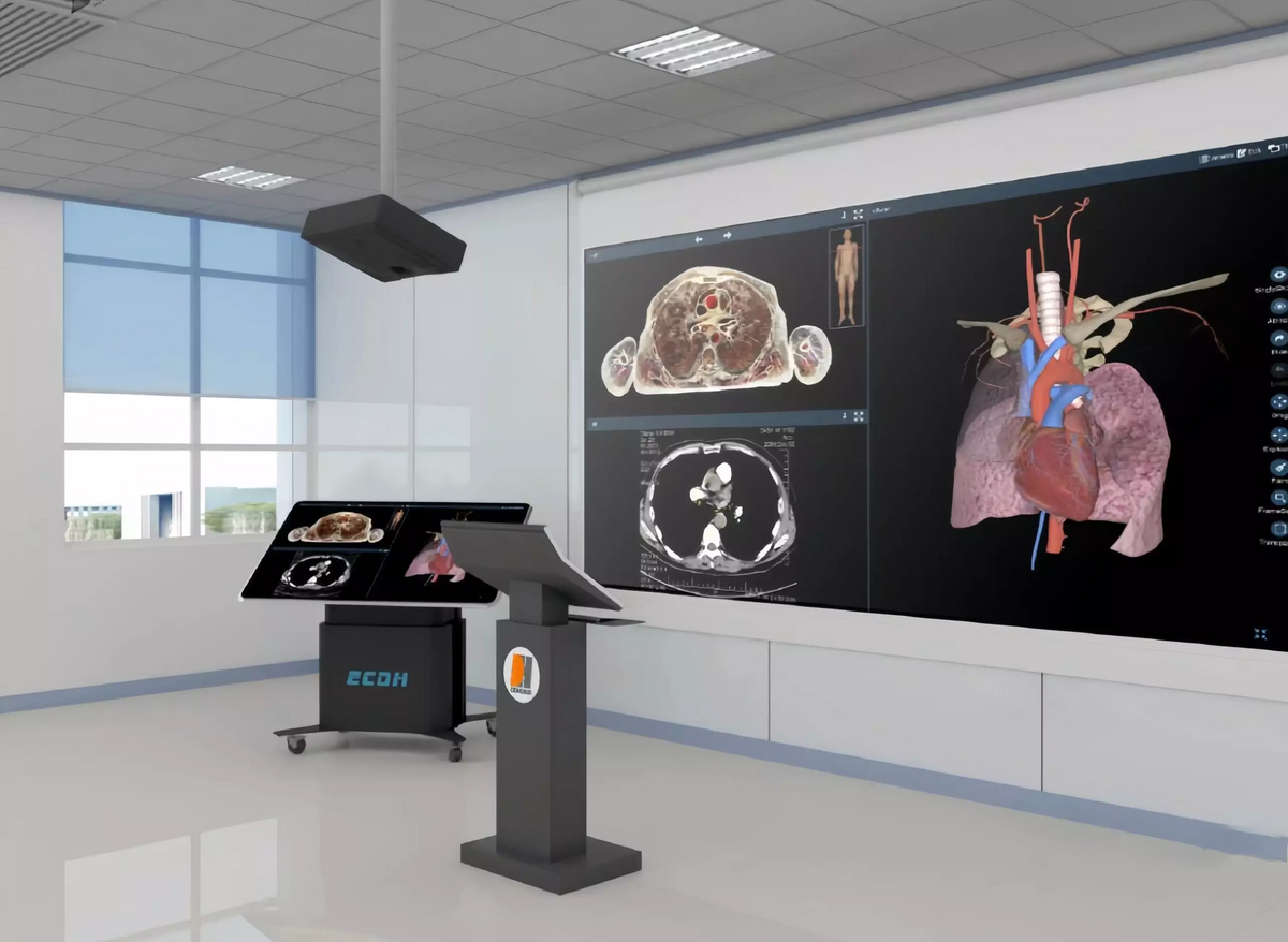 Digihuman Anatomy Teaching System