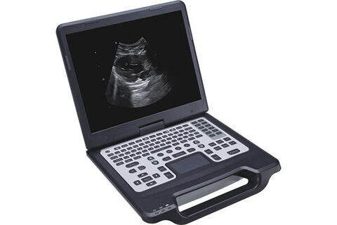Apogee 1000V Lite