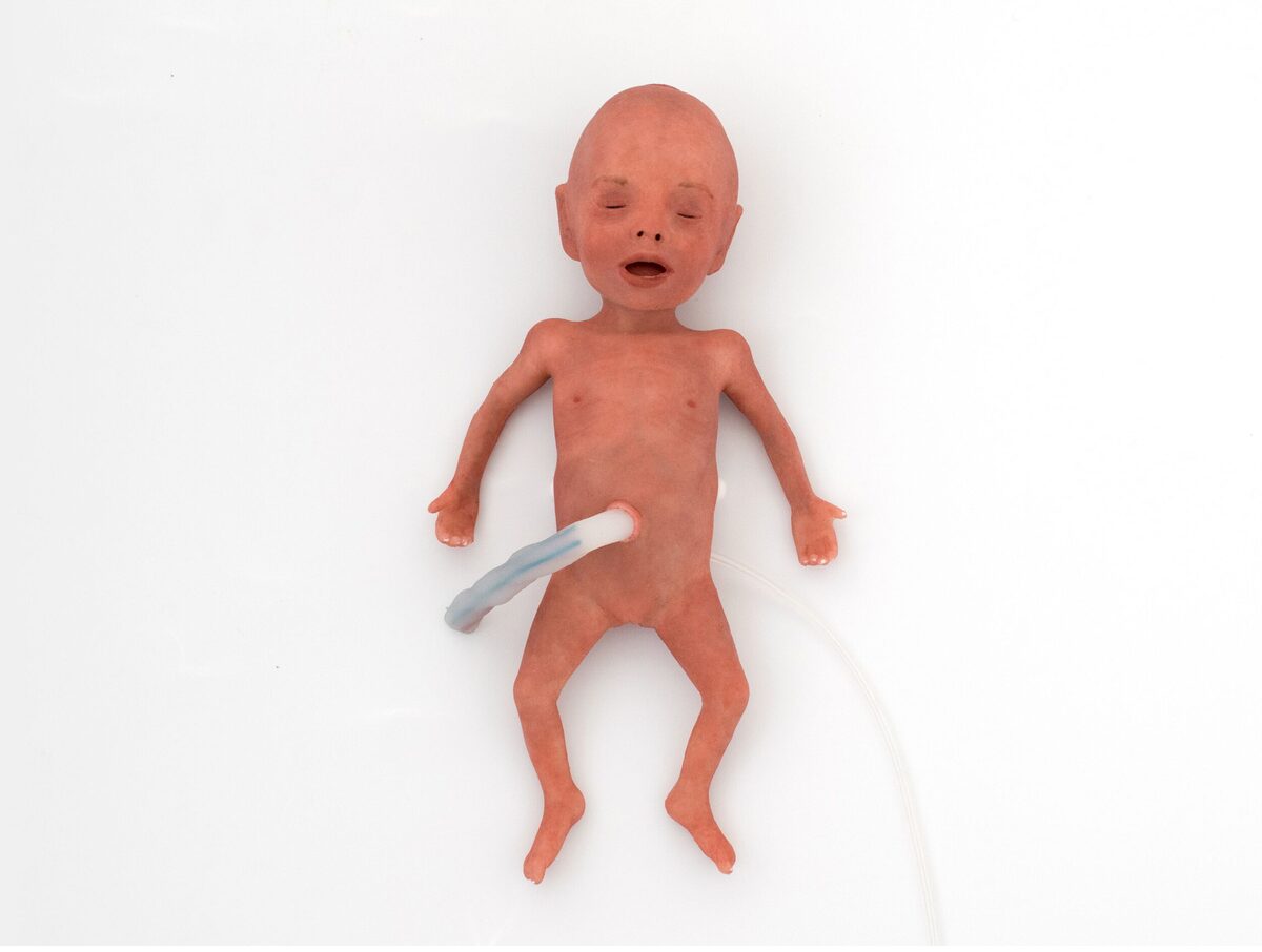 NENASim Preemie