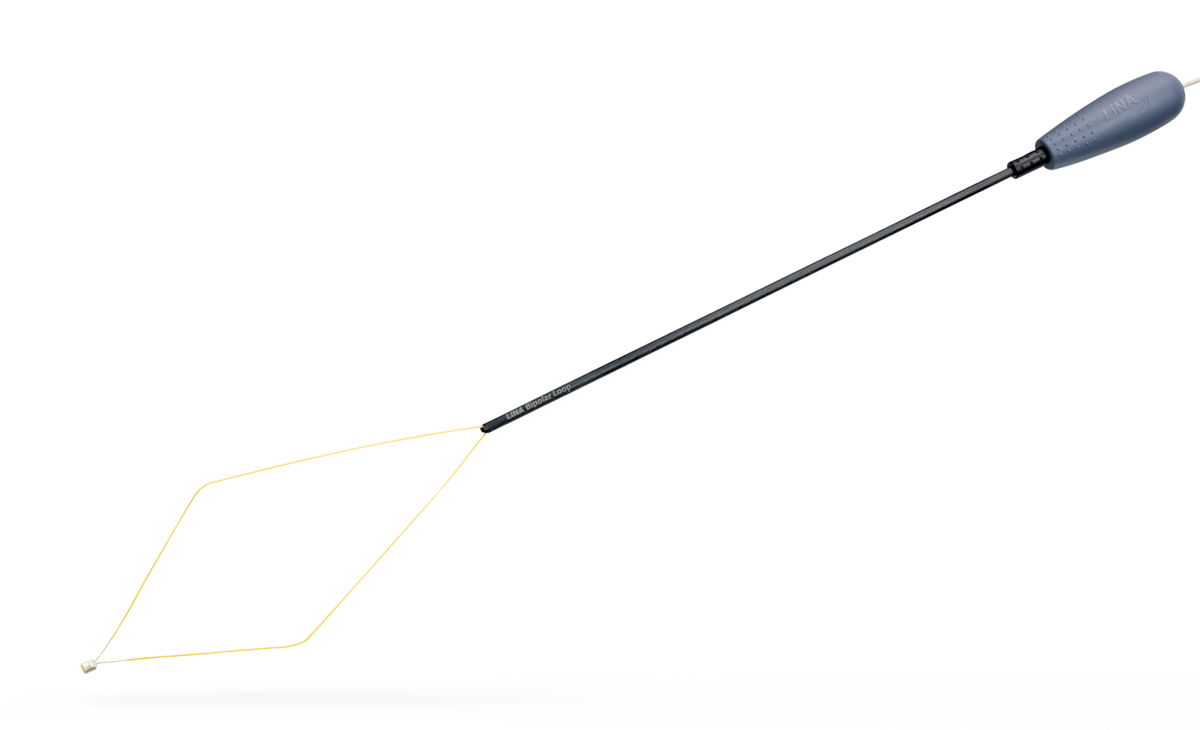 LiNA Loop