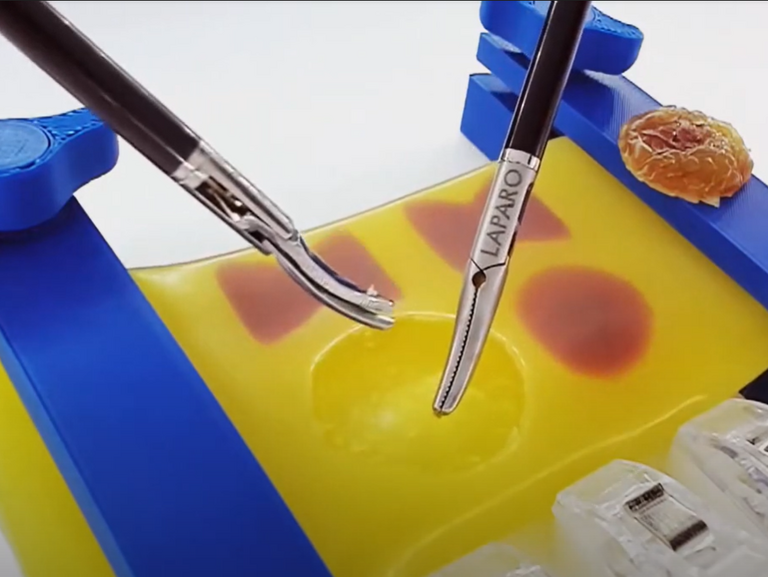 Training Module for Laparoscopic Simulator "Vessel Dissection"